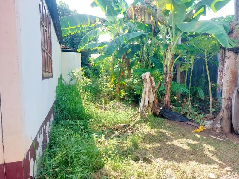 ที่ดินพร้อมสิ่งปลูกสร้างไซย อุดรธานี, Udon Thani, Chai Wan, Udon Thani, , 248 sqm, Land For Sale, by The Best Property เป้า, 500496941 - DDproperty.com