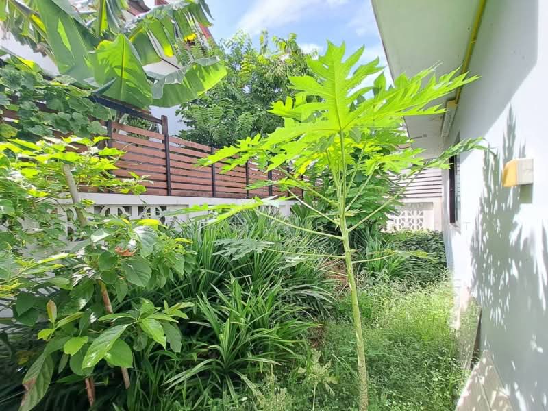Baan Lanthog Tiwanon-Pak Kret 27, Nonthaburi, Tiwanon Road, Bang Phut, Pak Kret, Nonthaburi, 3 Bedrooms, 100 sqm, Single Detached House For Sale, by The Best Property เป๊ก, 500496950 - DDproperty.com