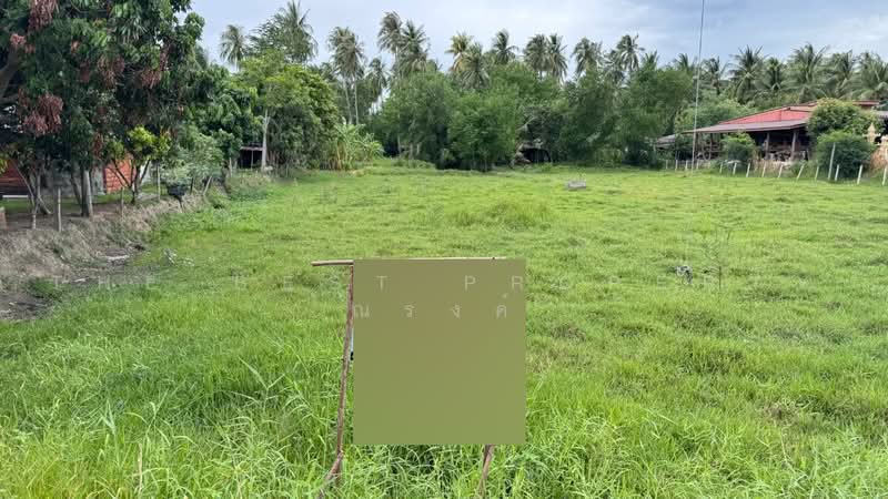 ที่ดินทับสะแก ประจวบคีรีขันธ์, ประจวบคีรีขันธ์, ห้วยยาง, ทับสะแก, ประจวบคีรีขันธ์, 3,200 ตร.ม., ที่ดิน ขาย, โดย The Best Property ณรงค์, 500496982 - DDproperty.com