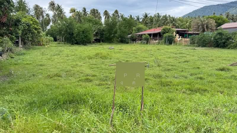 ที่ดินทับสะแก ประจวบคีรีขันธ์, Prachuap Khiri Khan, Huai Yang, Thap Sakae, Prachuap Khiri Khan, , 3,200 sqm, Land For Sale, by The Best Property ณรงค์, 500496982 - DDproperty.com