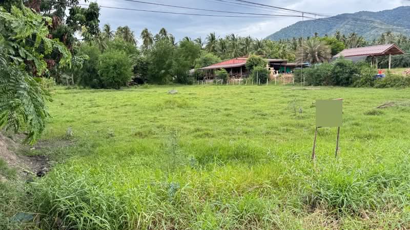 ที่ดินทับสะแก ประจวบคีรีขันธ์, ประจวบคีรีขันธ์, ห้วยยาง, ทับสะแก, ประจวบคีรีขันธ์, 3,200 ตร.ม., ที่ดิน ขาย, โดย The Best Property ณรงค์, 500496982 - DDproperty.com