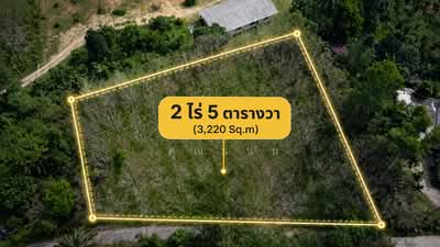 ขาย - ขายที่ดินบางม่วง ตะกั่วป่า พังงา 2 ไร่ 5 ตร.ว. ใกล้ถนนเพชรเกษมเพียง 130 เมตร, พังงา