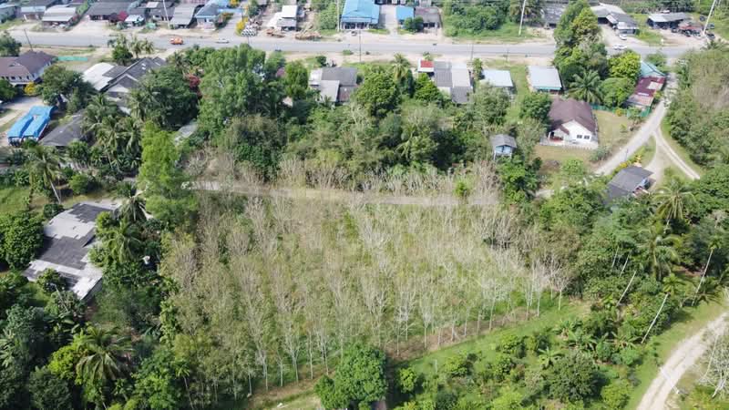 ขายที่ดินบางม่วง ตะกั่วป่า พังงา 2 ไร่ 5 ตร.ว. ใกล้ถนนเพชรเกษมเพียง 130 เมตร, Phangnga, Bang Muang, Takua Pa, Phangnga, , 3,220 sqm, Land For Sale, by คุณแนน, 500497050 - DDproperty.com