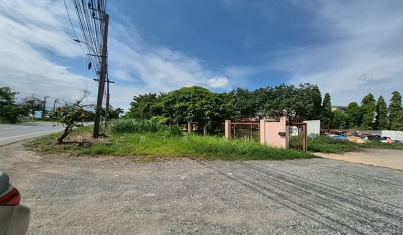 ซอยร่วมพัฒนา 7, กรุงเทพ, ลำต้อยติ่ง, หนองจอก, กรุงเทพ, 4,536 ตร.ม., ที่ดิน ขาย, โดย ชนะชาติ นนท์ตา, 500497089 - DDproperty.com
