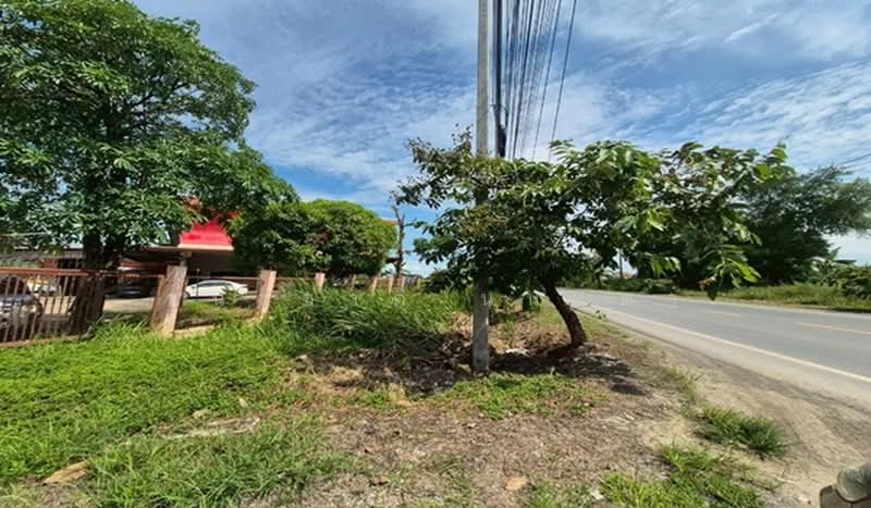 ซอยร่วมพัฒนา 7, กรุงเทพ, ลำต้อยติ่ง, หนองจอก, กรุงเทพ, 4,536 ตร.ม., ที่ดิน ขาย, โดย ชนะชาติ นนท์ตา, 500497089 - DDproperty.com