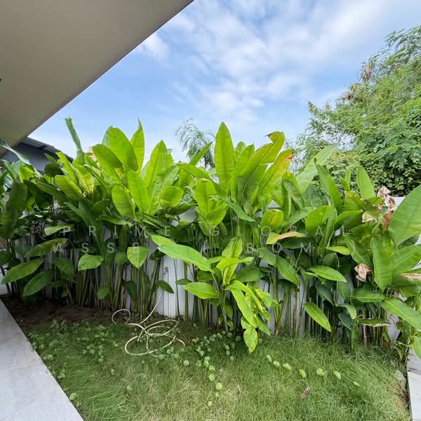 Palai chalong, Phuket, Chalong, Muang Phuket, Phuket, 3 Bedrooms, 204 sqm, Villa For Rent, by Prime Global Asset ( Bom ), 500497136 - DDproperty.com
