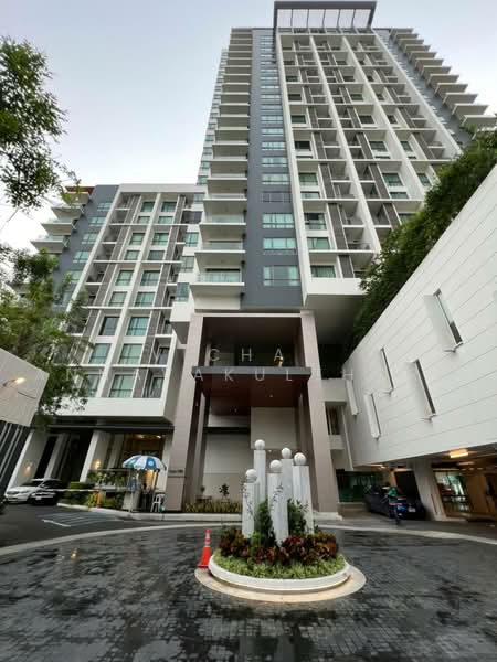The Room Sukhumvit 62 : เดอะรูม สุขุมวิท 62, กรุงเทพ, 2288 ถ.สุขุมวิท, บางจาก, พระโขนง, กรุงเทพ, 45 ตร.ม., คอนโด ให้เช่า, โดย Vichai Annavakulthorn, 500497191 - DDproperty.com