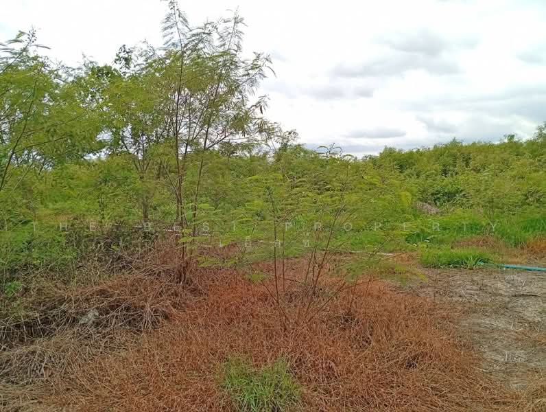 ที่ดินหนองงูเหลือม นครปฐม, นครปฐม, หนองงูเหลือม, เมืองนครปฐม, นครปฐม, 4,800 ตร.ม., ที่ดิน ขาย, โดย The Best Property เอ็กซ์, 500497200 - DDproperty.com