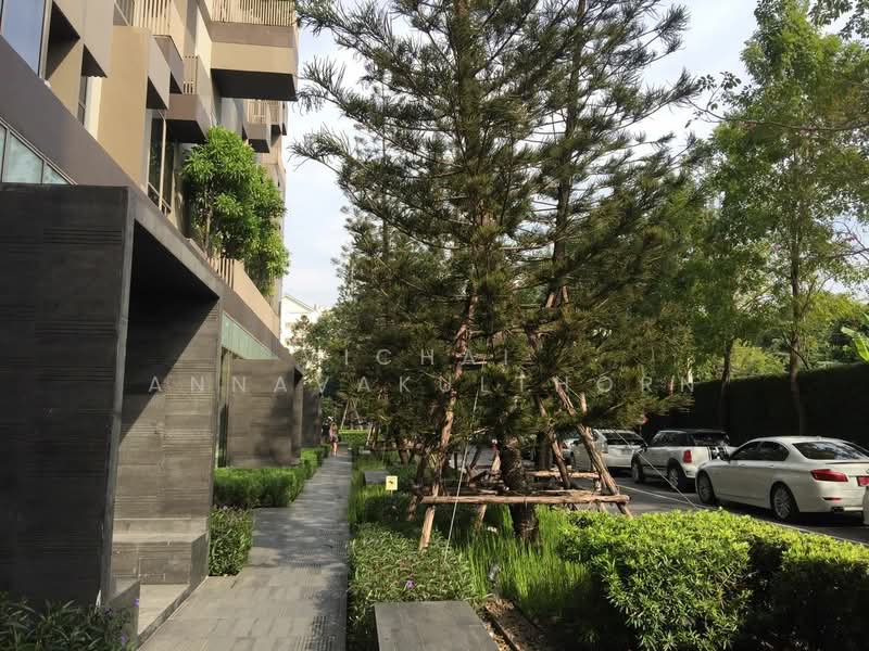IDEO Morph 38, Bangkok, 88 Sukhumvit Road, Phra Kanong, Khlong Toei, Bangkok, 1 Bedroom, 35 sqm, Condo For Rent, by Vichai Annavakulthorn, 500497223 - DDproperty.com