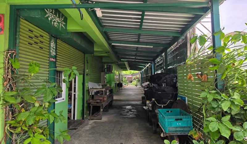 สุขาภิบาล 5 ซอย 39, Bangkok, O-Ngoen, Sai Mai, Bangkok, , 198 sqm, Land For Sale, by ชนะชาติ นนท์ตา, 500497387 - DDproperty.com