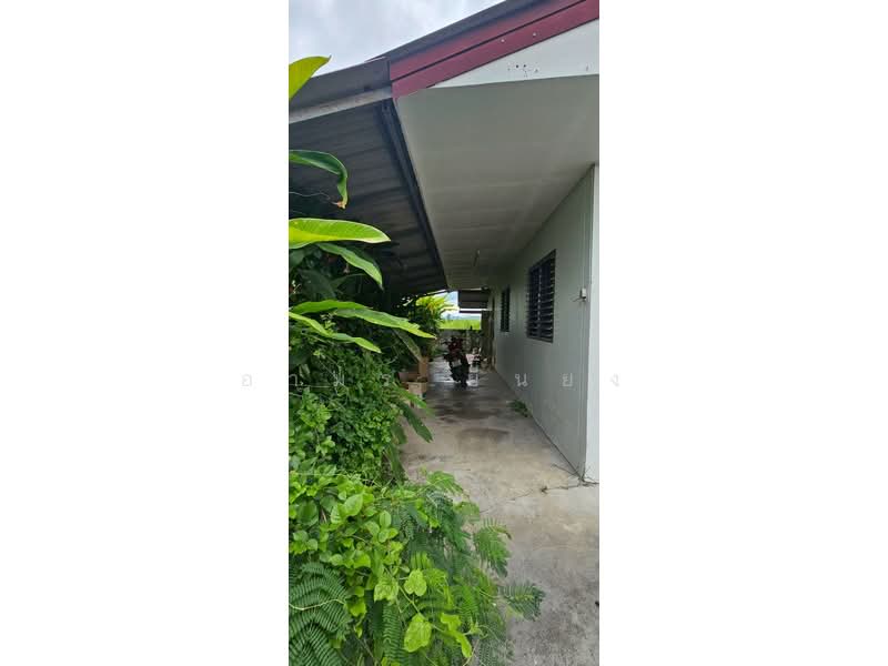 ขายบ้านเดี่ยว โซนขุนคง หางดง, Chiang Mai, Khun Dong, Hang Dong, Chiang Mai, 3 Bedrooms, 85 sqm, Single Detached House For Sale, by อามร ยืนยง, 500497391 - DDproperty.com