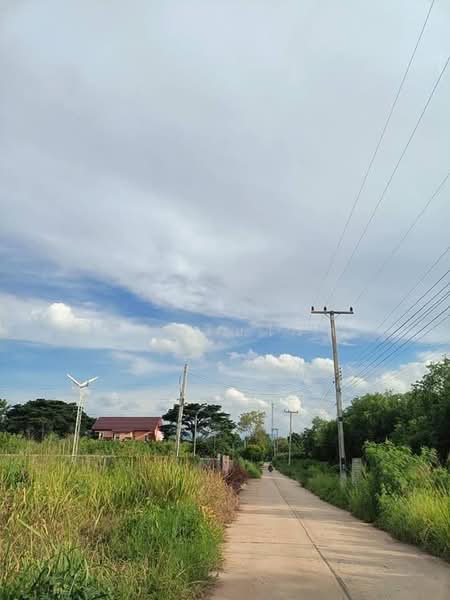 ขายที่ดินปากช่อง พญาเย็น 16 ไร่ 1 งาน 63 ตร.ว. ติดถนนคอนกรีต ทำเลดี ราคาต่อรองได้, นครราชสีมา, พญาเย็น, ปากช่อง, นครราชสีมา, 26,252 ตร.ม., ที่ดิน ขาย, โดย คุณพริมโรส, 500497523 - DDproperty.com