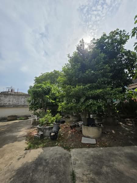 sale! Large 2-story detached house with a spacious 1 rai 3.2 square wa land plot in Thung Sao, Songkhla, Hat-Yai, Hat Yai, Songkhla, 7 Bedrooms, 1,613 sqm, Single Detached House For Sale, by Rachen Nopsuwan, 500497544 - DDproperty.com