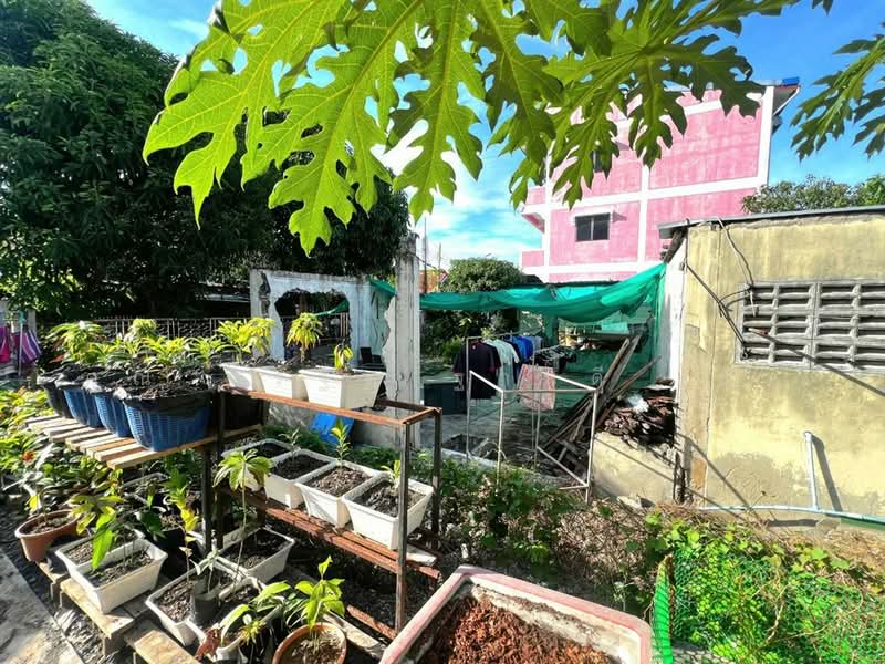 ที่ดินเปล่า 55 ตร.ว. หมู่บ้านผาสุขนิรันดร์ (ซอย4), สมุทรปราการ, ถนนสุขุมวิท, ท้ายบ้านใหม่, เมืองสมุทรปราการ, สมุทรปราการ, 220 ตร.ม., ที่ดิน ขาย, โดย คุณ จีรฐิต ฐานดี (ดี), 500497615 - DDproperty.com