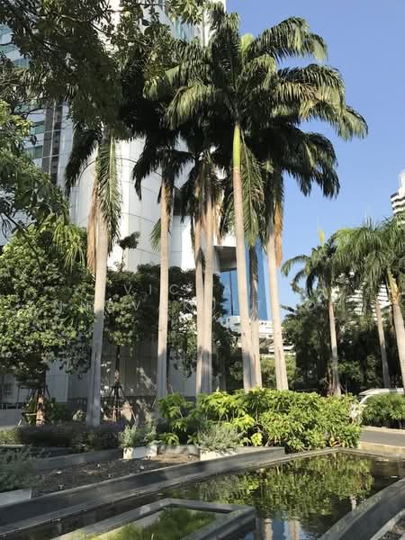 Millennium Residence, Bangkok, Sukhumvit Road, Khlong Toei, Bangkok, 2 Bedrooms, 90 sqm, Condo For Rent, by Vichai Annavakulthorn, 500497687 - DDproperty.com