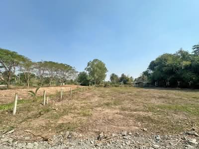ขาย - ที่ดินปากท่อ ราชบุรี, ราชบุรี