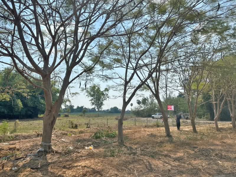 ที่ดินปากท่อ ราชบุรี, Ratchaburi, Don Sai, Pak Tho, Ratchaburi, , 3,200 sqm, Land For Sale, by The Best Property นุ้ย, 500497761 - DDproperty.com