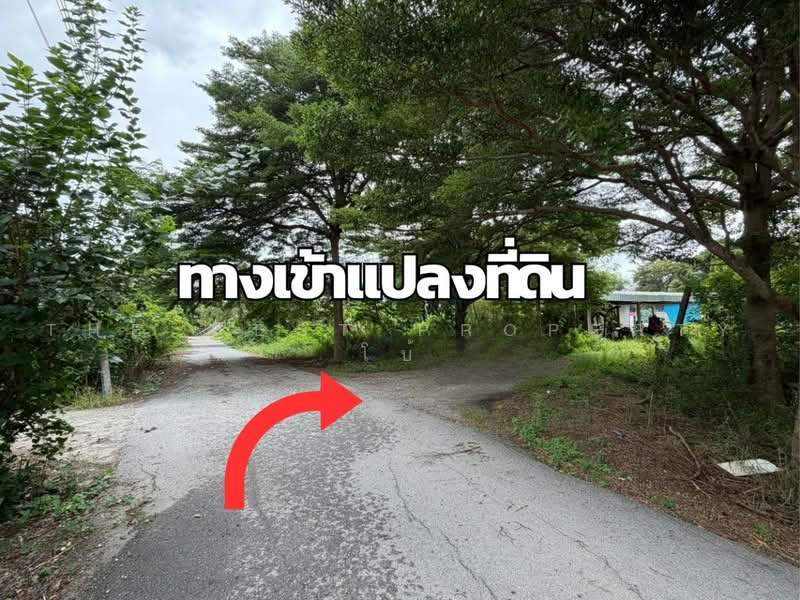 ที่ดินวังตะเคียน ฉะเชิงเทรา, Chachoengsao, Wang Ta Khian, Muang Chachoengsao, Chachoengsao, , 744 sqm, Land For Sale, by The Best Property โบ้, 500497765 - DDproperty.com