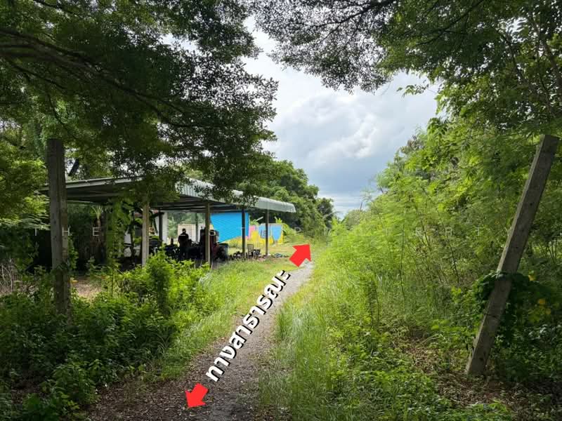ที่ดินวังตะเคียน ฉะเชิงเทรา, ฉะเชิงเทรา, วังตะเคียน, เมืองฉะเชิงเทรา, ฉะเชิงเทรา, 744 ตร.ม., ที่ดิน ขาย, โดย The Best Property โบ้, 500497765 - DDproperty.com