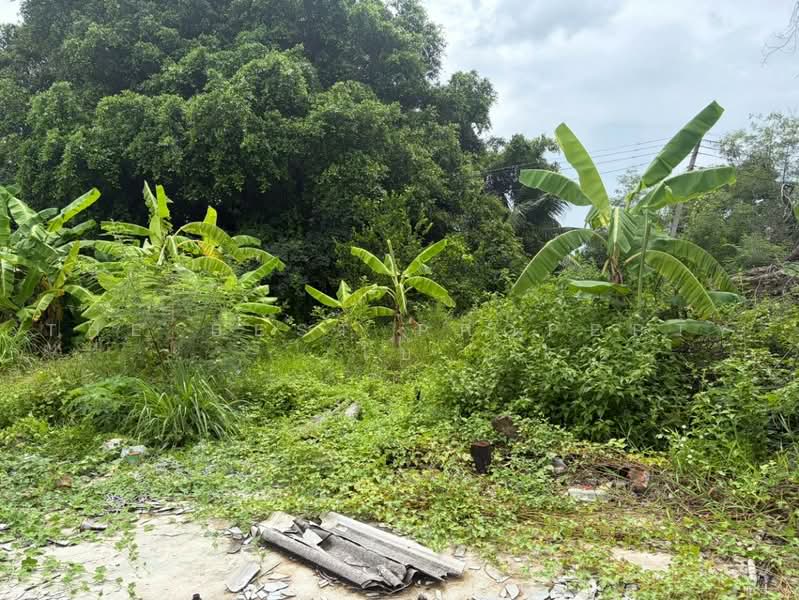 ที่ดินวังตะเคียน ฉะเชิงเทรา, Chachoengsao, Wang Ta Khian, Muang Chachoengsao, Chachoengsao, , 744 sqm, Land For Sale, by The Best Property โบ้, 500497765 - DDproperty.com