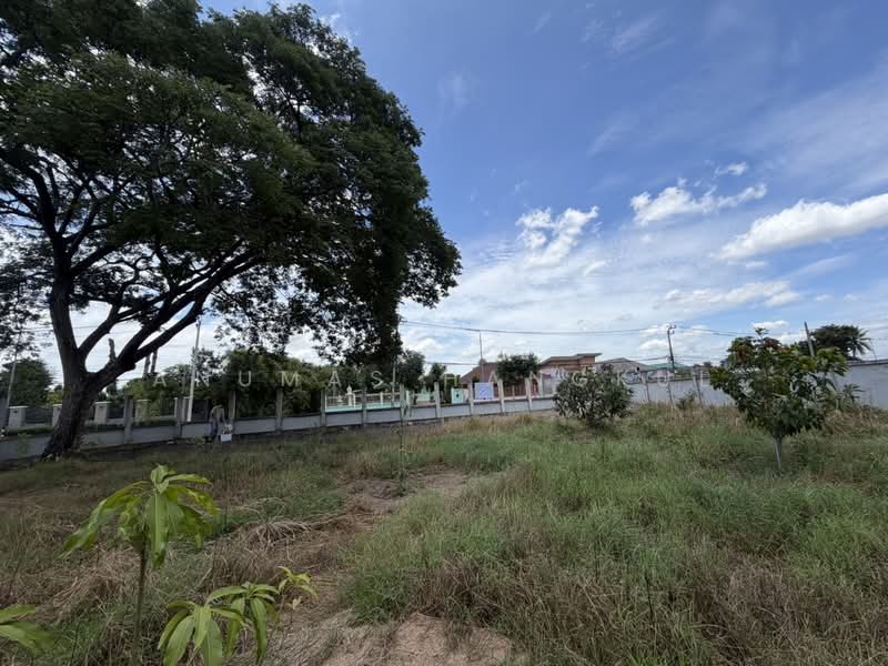 ที่ดินถมแล้ว ทำเลดีถนนราชพฤกษ์, Pathum Thani, Bang Dua, Muang Pathum Thani, Pathum Thani, , 397 sqm, Land For Sale, by Anumas Hangkul, 500497861 - DDproperty.com