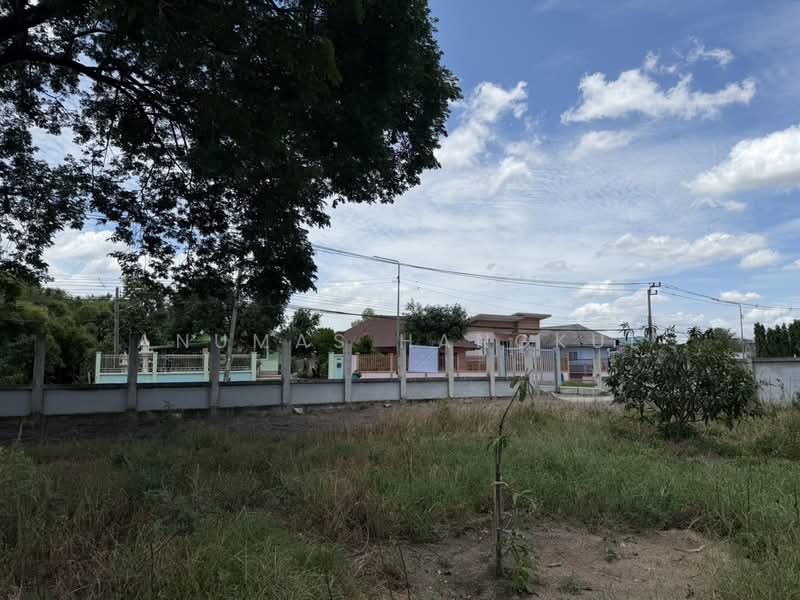 ที่ดินถมแล้ว ทำเลดีถนนราชพฤกษ์, ปทุมธานี, บางเดื่อ, เมืองปทุมธานี, ปทุมธานี, 397 ตร.ม., ที่ดิน ขาย, โดย Anumas Hangkul, 500497861 - DDproperty.com