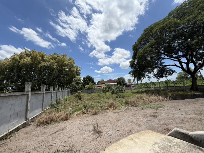ที่ดินถมแล้ว ทำเลดีถนนราชพฤกษ์, Pathum Thani, Bang Dua, Muang Pathum Thani, Pathum Thani, , 397 sqm, Land For Sale, by Anumas Hangkul, 500497861 - DDproperty.com