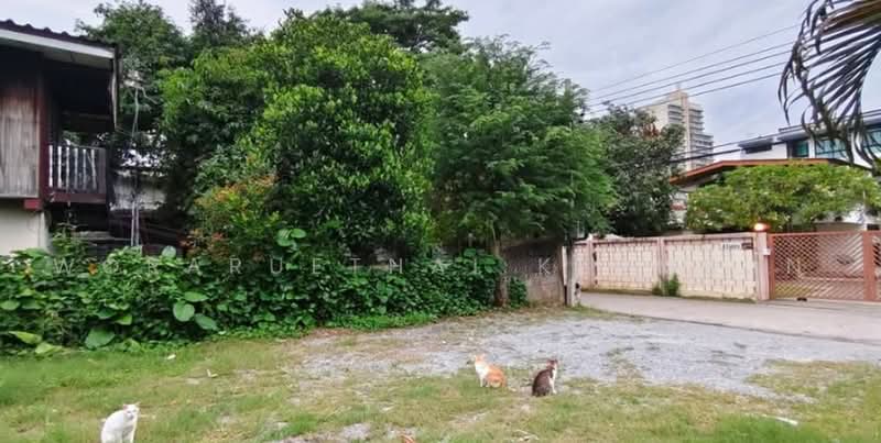 บ้าน 3-ห้องนอน, กรุงเทพ, จันทรเกษม, จตุจักร, กรุงเทพ, 240 ตร.ม., บ้านเดี่ยว ขาย, โดย Woraruethai Klumbun, 500498008 - DDproperty.com