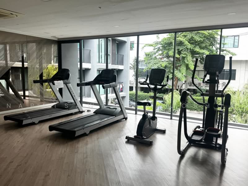 Serio Sukhumvit 50, Bangkok, Soi Sukhumvit 50, Phra Kanong, Khlong Toei, Bangkok, 1 Bedroom, 32 sqm, Condo For Rent, by Napatsawan Tamjorhor, 500498149 - DDproperty.com