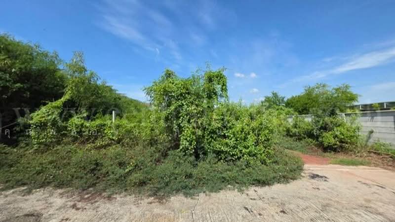 บางกระดี่ 1, Bangkok, พระราม 2, Samae Dam, Bang Khun Thian, Bangkok, , 972 sqm, Land For Sale, by คุณพลอยวาลินน์ (วาลินน์), 500498211 - DDproperty.com