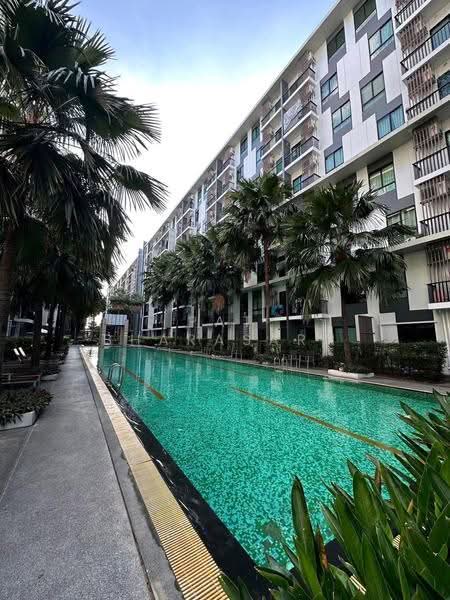 iCondo Sukhumvit 105 : ไอคอนโด สุขุมวิท 105, กรุงเทพ, 20 ซอยลาซาล 19 ถนนสุขุมวิท 105, บางนา, บางนา, กรุงเทพ, 48 ตร.ม., คอนโด ให้เช่า, โดย Pat Bharasarn, 500498224 - DDproperty.com