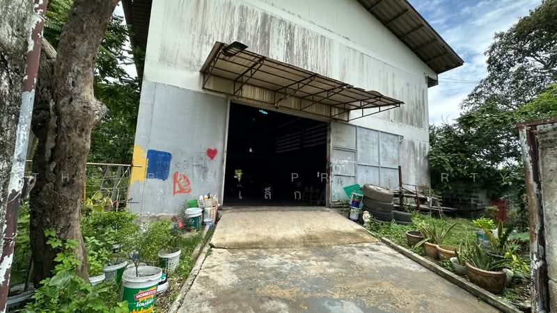 โกดังหนองเสือ ปทุมธานี, Pathum Thani, Bung Bon, Nong Sua, Pathum Thani, , 150 sqm, Warehouse/Factory For Sale, by The Best Property เล็ก, 500498261 - DDproperty.com