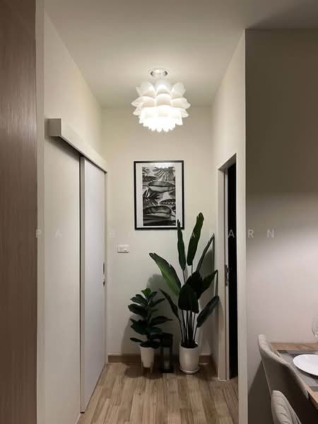 Niche Mono Sukhumvit-Bearing : นิช โมโน สุขุมวิท - แบริ่ง, สมุทรปราการ, ซอย สุขุมวิท 70, สำโรงเหนือ, เมืองสมุทรปราการ, สมุทรปราการ, 50 ตร.ม., คอนโด ให้เช่า, โดย Pat Bharasarn, 500498320 - DDproperty.com
