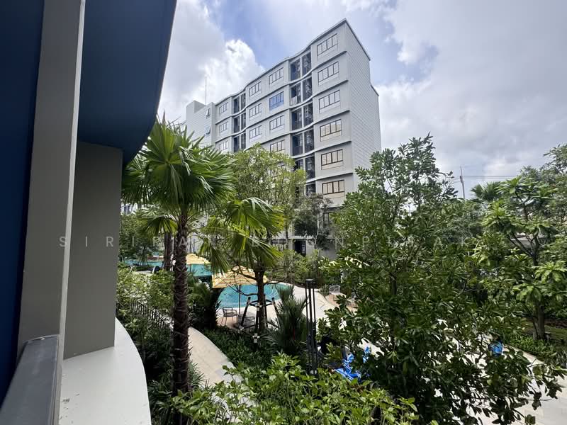 DCondo Reef, Phuket, 78 Soi Dara, Kathu, Phuket, 2 Bedrooms, 55 sqm, Condo For Rent, by Sirirat Boonpitak , 500498470 - DDproperty.com