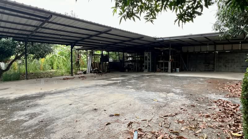 Ban Chat Luang Soi Rat Uthit 54 : บ้านฉัตรหลวง ซอยราษฎร์อุทิศ 54, กรุงเทพ, ถนน ราษฎร์อุทิศ54, แสนแสบ, มีนบุรี, กรุงเทพ, 150 ตร.ม., บ้านเดี่ยว ขาย, โดย สินรัตน์ ปรีชานุกูล, 500498507 - DDproperty.com