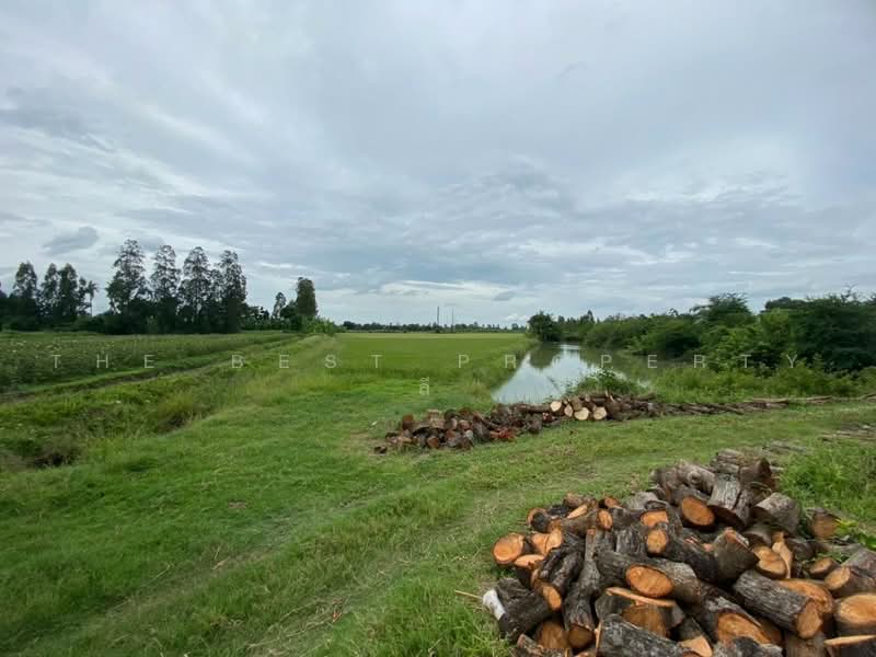 ที่ดินสองพี่น้อง สุพรรณบุรี, Suphan Buri, Sri Samran, Song Phi Nong, Suphan Buri, , 2,265 sqm, Land For Sale, by The Best Property ลี, 500498546 - DDproperty.com