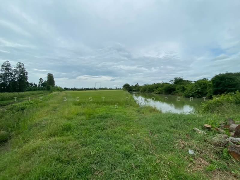ที่ดินสองพี่น้อง สุพรรณบุรี, Suphan Buri, Sri Samran, Song Phi Nong, Suphan Buri, , 2,265 sqm, Land For Sale, by The Best Property ลี, 500498546 - DDproperty.com