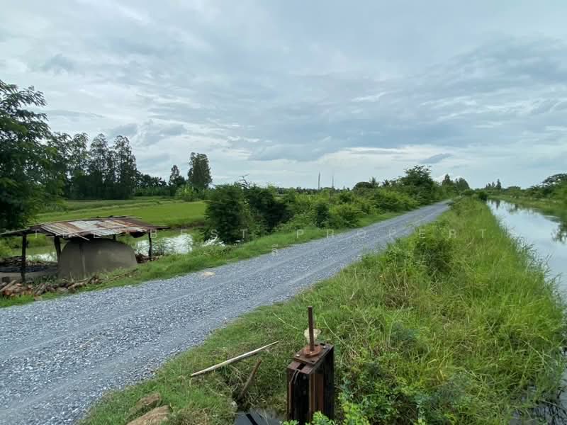 ที่ดินสองพี่น้อง สุพรรณบุรี, Suphan Buri, Sri Samran, Song Phi Nong, Suphan Buri, , 2,265 sqm, Land For Sale, by The Best Property ลี, 500498546 - DDproperty.com