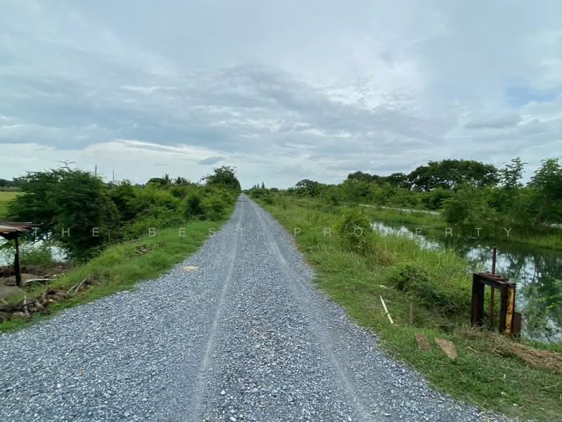 ที่ดินสองพี่น้อง สุพรรณบุรี, สุพรรณบุรี, ศรีสำราญ, สองพี่น้อง, สุพรรณบุรี, 2,265 ตร.ม., ที่ดิน ขาย, โดย The Best Property  ลี, 500498546 - DDproperty.com