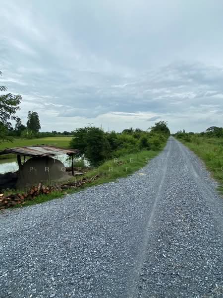 ที่ดินสองพี่น้อง สุพรรณบุรี, สุพรรณบุรี, ศรีสำราญ, สองพี่น้อง, สุพรรณบุรี, 2,265 ตร.ม., ที่ดิน ขาย, โดย The Best Property  ลี, 500498546 - DDproperty.com