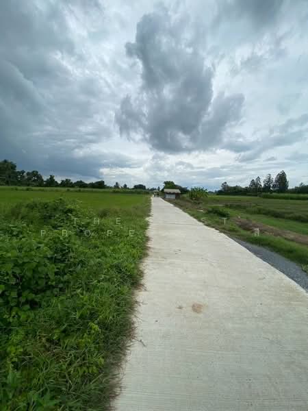 ที่ดินสองพี่น้อง สุพรรณบุรี, สุพรรณบุรี, ศรีสำราญ, สองพี่น้อง, สุพรรณบุรี, 2,265 ตร.ม., ที่ดิน ขาย, โดย The Best Property  ลี, 500498546 - DDproperty.com