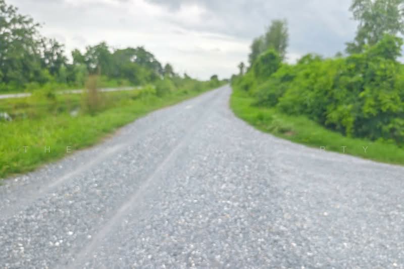 ที่ดินสองพี่น้อง สุพรรณบุรี, Suphan Buri, Sri Samran, Song Phi Nong, Suphan Buri, , 2,265 sqm, Land For Sale, by The Best Property ลี, 500498546 - DDproperty.com
