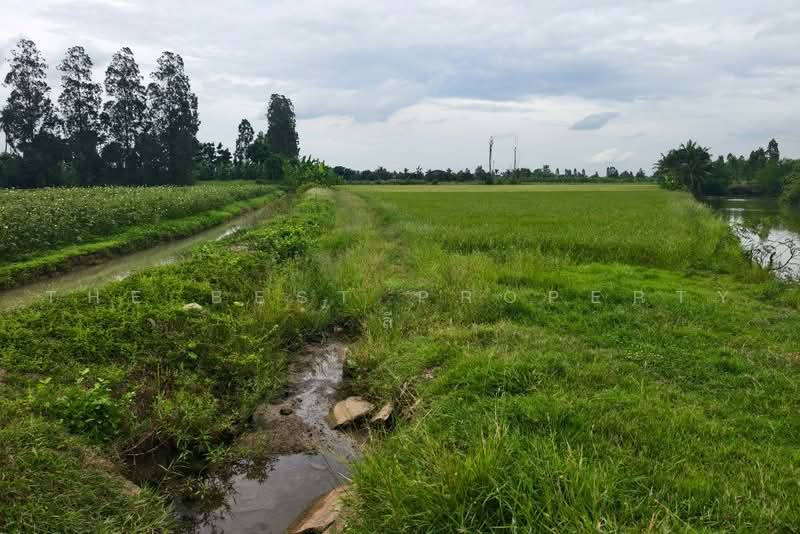 ที่ดินสองพี่น้อง สุพรรณบุรี, สุพรรณบุรี, ศรีสำราญ, สองพี่น้อง, สุพรรณบุรี, 2,265 ตร.ม., ที่ดิน ขาย, โดย The Best Property  ลี, 500498546 - DDproperty.com