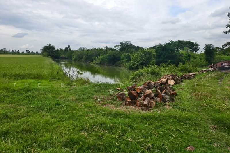 ที่ดินสองพี่น้อง สุพรรณบุรี, สุพรรณบุรี, ศรีสำราญ, สองพี่น้อง, สุพรรณบุรี, 2,265 ตร.ม., ที่ดิน ขาย, โดย The Best Property  ลี, 500498546 - DDproperty.com