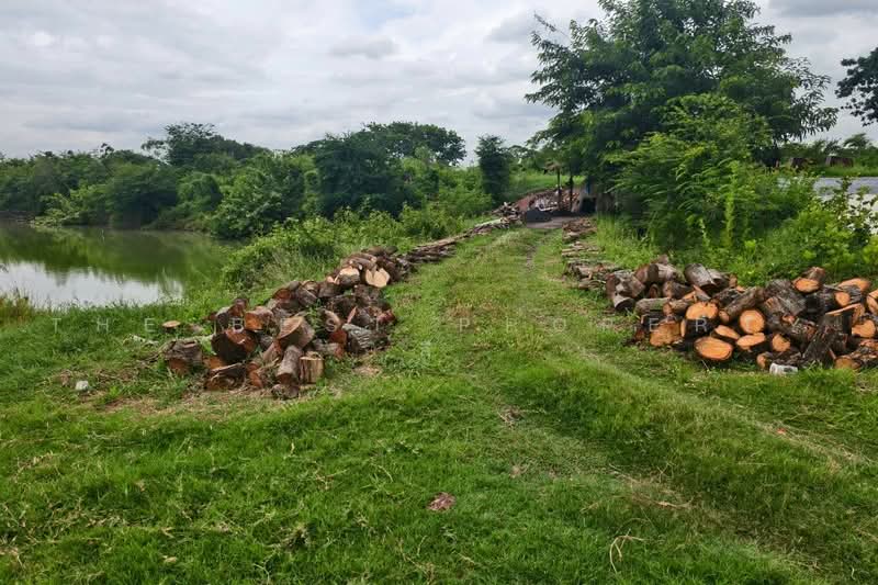 ที่ดินสองพี่น้อง สุพรรณบุรี, สุพรรณบุรี, ศรีสำราญ, สองพี่น้อง, สุพรรณบุรี, 2,265 ตร.ม., ที่ดิน ขาย, โดย The Best Property  ลี, 500498546 - DDproperty.com
