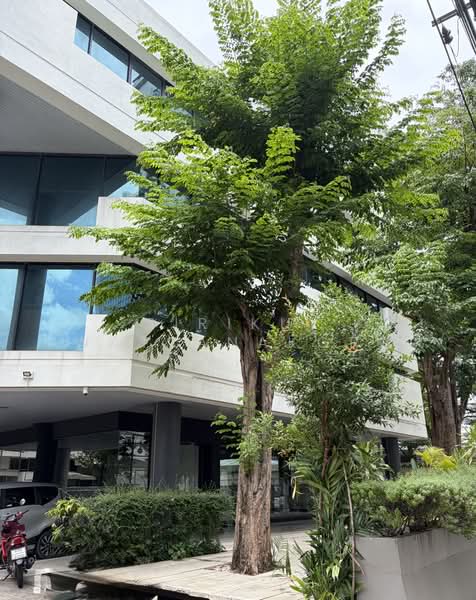 1st Floor Space with Foot Traffic, 450m to BTS Saint Louis, Bangkok, Silom, Bang Rak, Bangkok, , 224 sqm, Retail Space For Rent, by Sirikul Wattanakorn, 500498583 - DDproperty.com