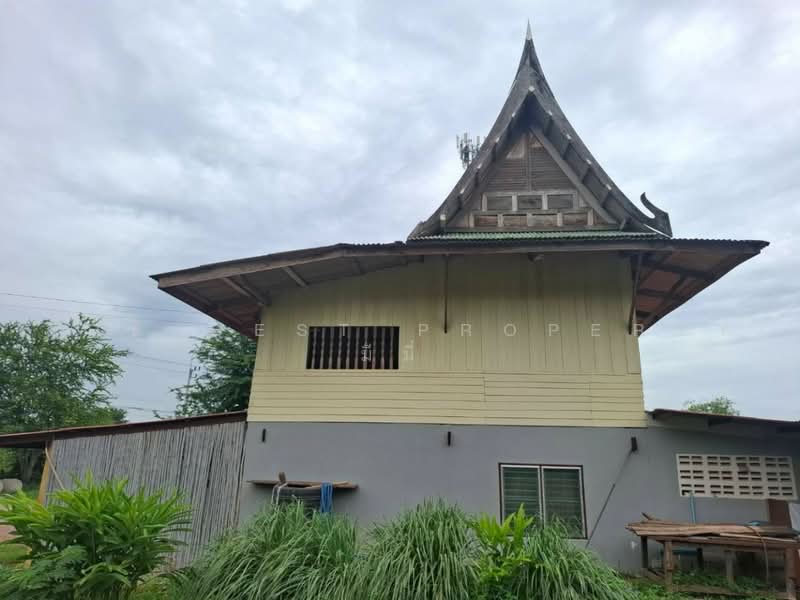 ที่ดินพร้อมสิ่งปลูกสร้างปากท่อ ราชบุรี, ราชบุรี, ดอนทราย, ปากท่อ, ราชบุรี, 2,170 ตร.ม., ที่ดิน ขาย, โดย The Best Property มีมี่, 500498690 - DDproperty.com