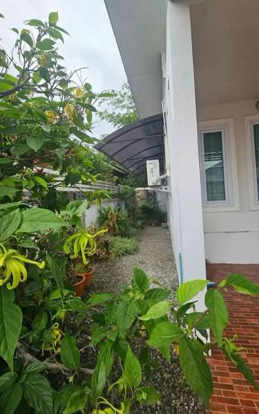 ขายบ้านเดี่ยว โซนหางดง, Chiang Mai, Nong Kwai, Hang Dong, Chiang Mai, 2 Bedrooms, 85 sqm, Single Detached House For Sale, by อามร ยืนยง, 500498896 - DDproperty.com