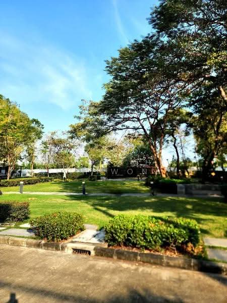 The Ricco Town Watcharapol, Bangkok, Ruammit Pattana, Khlong Tan Nuea, Tha Rang, Bang Khen, Bangkok, 3 Bedrooms, 170 sqm, Townhouse For Sale, by Thawatchai Methawongworakul, 500498912 - DDproperty.com