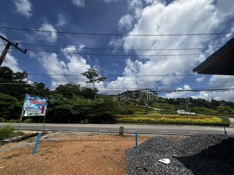 ขายบ้านพร้อมที่ดิน 142 ตร.วา พังงา ติดถนนใหญ่ ตรงข้าม Beyond Skywalk นางชี | ยกแปลง 3.9 ล้าน, Phangnga, Khlong Khian, Takua Thung, Phangnga, 2 Bedrooms, 96 sqm, Single Detached House For Sale, by คุณรามฤดี ช่อแตง, 500498959 - DDproperty.com